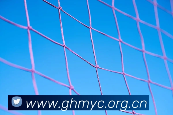 九游官网登录入口网页全站App